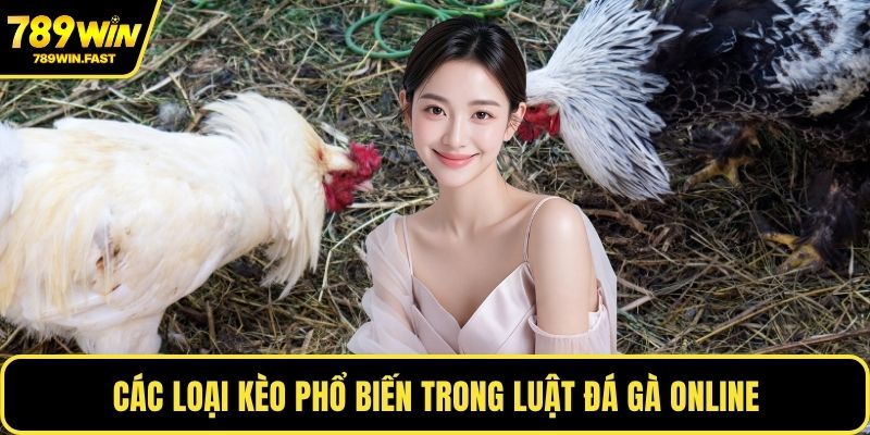 Cách Chấp Tiền Gà Chọi - Kinh Nghiệm Từ Cao Thủ Cá Cược - fohebi.pro