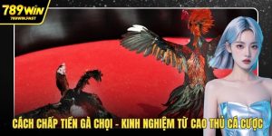 Đá Gà 789WIN – Sân Chơi Cá Cược Hot Cho Dân Đam Mê Gà  - fohebi.pro