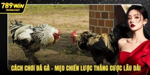 Đá Gà 789WIN – Sân Chơi Cá Cược Hot Cho Dân Đam Mê Gà  - fohebi.pro