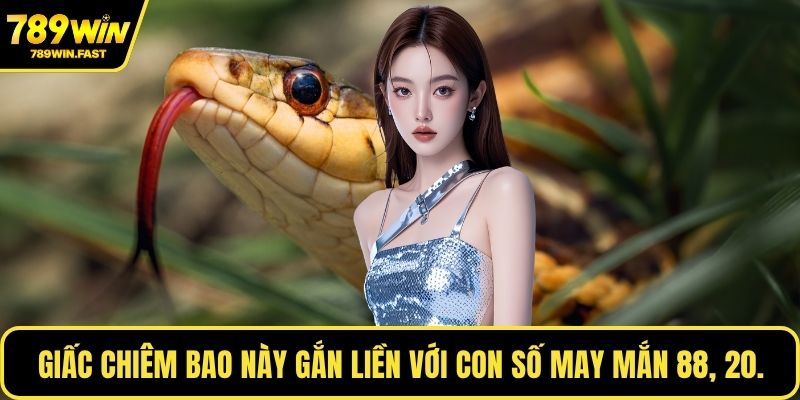 Nằm Mơ Thấy Giết Rắn Là Điềm Báo Gì, Đánh Số Mấy Trúng? - fohebi.pro