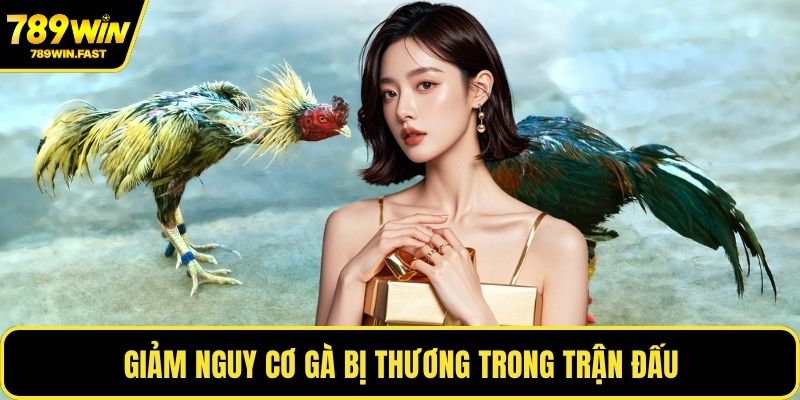 Cách Nuôi Gà Đá Chân Mạnh - Giữ Phong Độ Ổn Định Nhất - fohebi.pro Cách Nuôi Gà Đá Chân Mạnh - Giữ Phong Độ Ổn Định Nhất - fohebi.pro