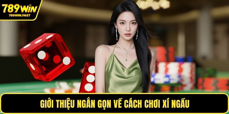 Cách Chơi Xí Ngầu - Tăng Cơ Hội Thắng Trong Mọi Ván - fohebi.pro Cách Chơi Xí Ngầu - Tăng Cơ Hội Thắng Trong Mọi Ván - fohebi.pro