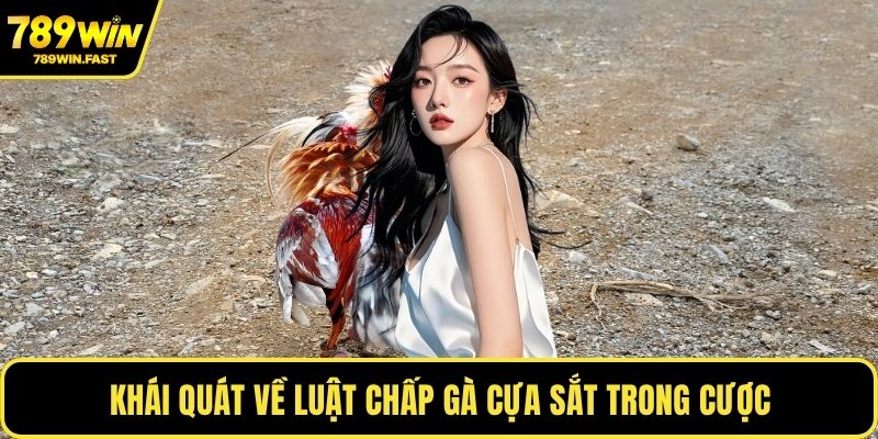 Luật Chấp Gà Cựa Sắt - Bí Quyết Thắng Cược Mọi Trận Đấu - fohebi.pro Luật Chấp Gà Cựa Sắt - Bí Quyết Thắng Cược Mọi Trận Đấu - fohebi.pro