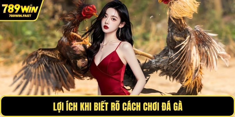 Cách Chơi Đá Gà - Mẹo Chiến Lược Thắng Cược Lâu Dài - fohebi.pro