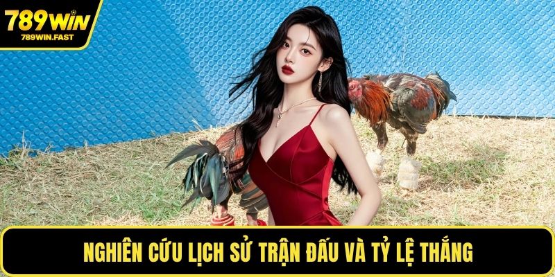 Cách Chấp Tiền Gà Chọi - Kinh Nghiệm Từ Cao Thủ Cá Cược - fohebi.pro