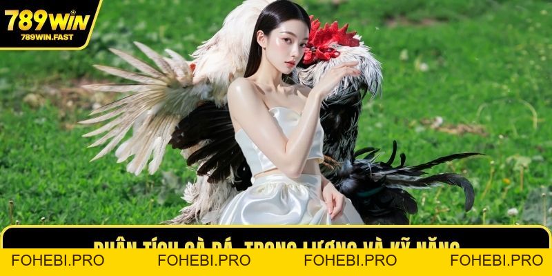 Cách Chơi Đá Gà - Mẹo Chiến Lược Thắng Cược Lâu Dài - fohebi.pro