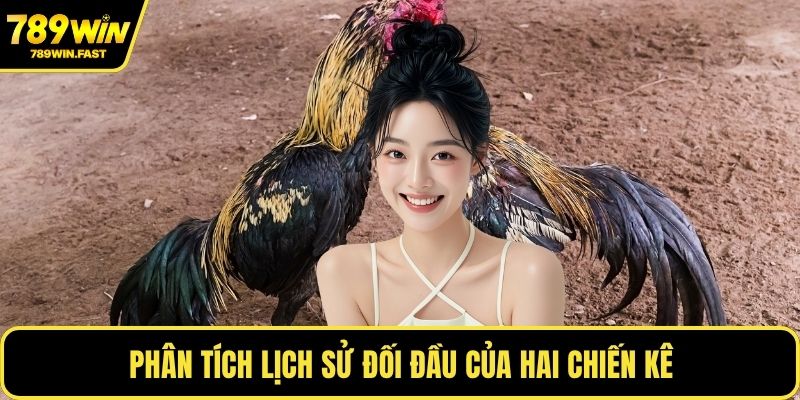 Cách Chơi Đá Gà - Mẹo Chiến Lược Thắng Cược Lâu Dài - fohebi.pro