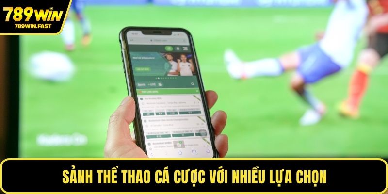 Giới Thiệu 789WIN - Trải Nghiệm Cược Trực Tuyến Uy Tín - fohebi.pro Giới Thiệu 789WIN - Trải Nghiệm Cược Trực Tuyến Uy Tín - fohebi.pro