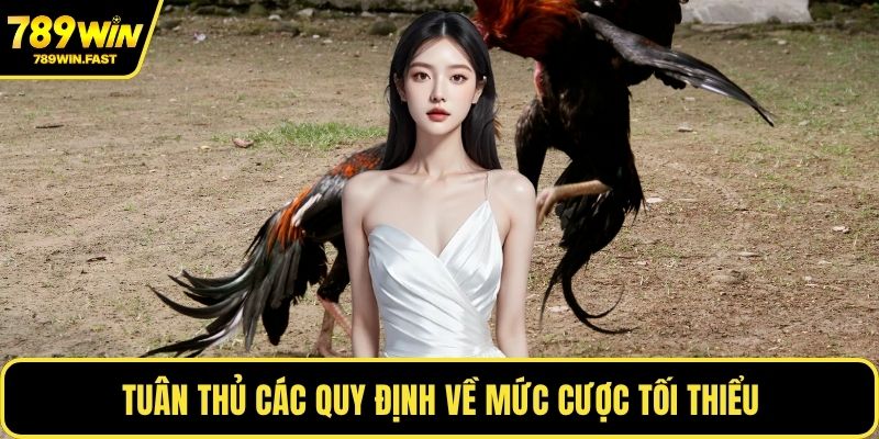 Luật Chấp Gà Cựa Sắt - Bí Quyết Thắng Cược Mọi Trận Đấu - fohebi.pro Luật Chấp Gà Cựa Sắt - Bí Quyết Thắng Cược Mọi Trận Đấu - fohebi.pro