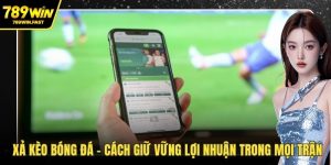 Thể Thao 789WIN – Sân Chơi Cá Cược Đỉnh Cao Cho Dân Kèo - fohebi.pro