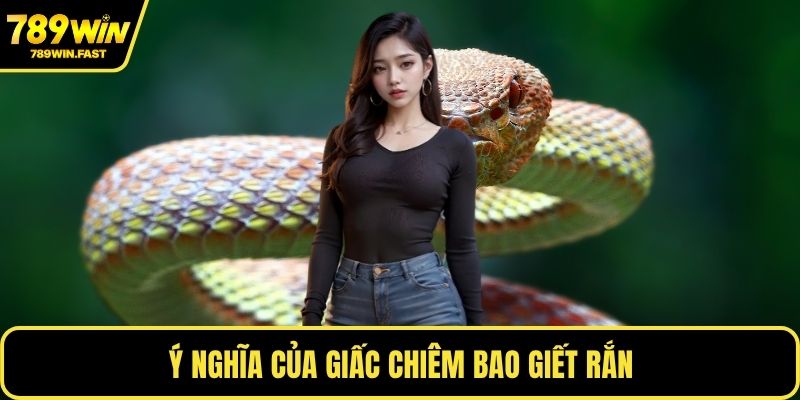 Nằm Mơ Thấy Giết Rắn Là Điềm Báo Gì, Đánh Số Mấy Trúng? - fohebi.pro
