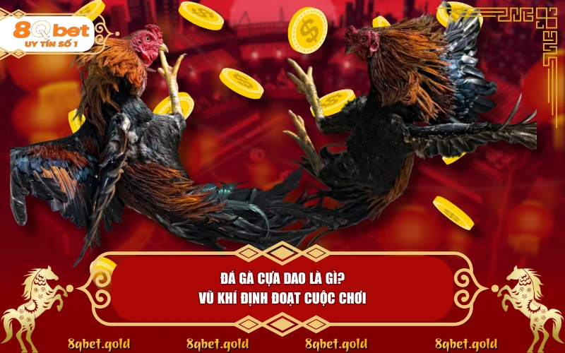 Đá Gà Cựa Dao: Đỉnh Cao Chiến Kê Và Tốc Độ Nghẹt Thở | 8QBET - fohebi.pro Đá Gà Cựa Dao: Đỉnh Cao Chiến Kê Và Tốc Độ Nghẹt Thở | 8QBET - fohebi.pro