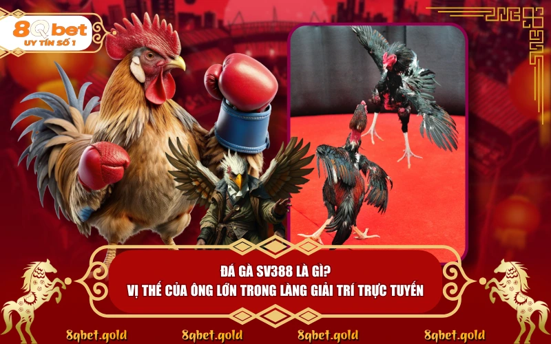 Đá Gà SV388: Giải Mã Sức Hút Của Nền Tảng Trực Tiếp Hàng Đầu - fohebi.pro Đá Gà SV388: Giải Mã Sức Hút Của Nền Tảng Trực Tiếp Hàng Đầu - fohebi.pro
