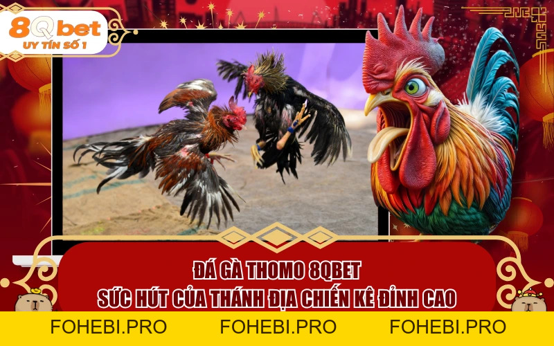 Đá Gà Thomo 8QBET: Sức Hút Của Thánh Địa Chiến Kê Đỉnh Cao - fohebi.pro Đá Gà Thomo 8QBET: Sức Hút Của Thánh Địa Chiến Kê Đỉnh Cao - fohebi.pro
