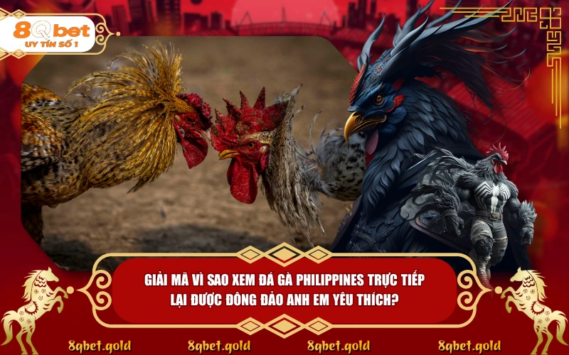 Đá Gà Philippines: Giải Mã Đỉnh Cao Nghệ Thuật Sabong - fohebi.pro Đá Gà Philippines: Giải Mã Đỉnh Cao Nghệ Thuật Sabong - fohebi.pro
