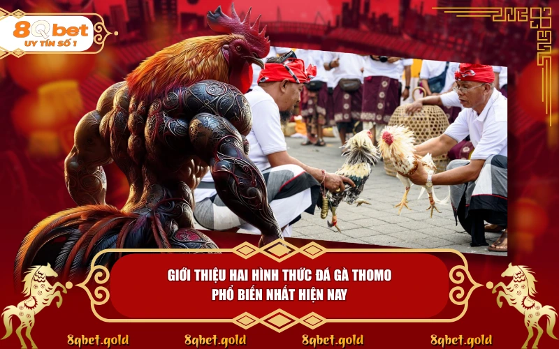 Đá Gà Thomo 8QBET: Sức Hút Của Thánh Địa Chiến Kê Đỉnh Cao - fohebi.pro Đá Gà Thomo 8QBET: Sức Hút Của Thánh Địa Chiến Kê Đỉnh Cao - fohebi.pro
