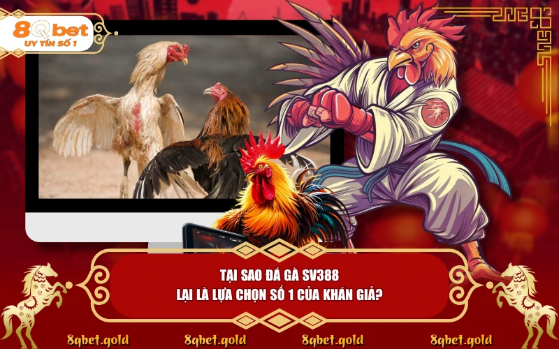 Đá Gà SV388: Giải Mã Sức Hút Của Nền Tảng Trực Tiếp Hàng Đầu - fohebi.pro Đá Gà SV388: Giải Mã Sức Hút Của Nền Tảng Trực Tiếp Hàng Đầu - fohebi.pro