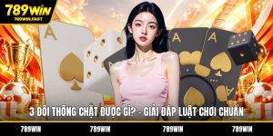 Casino 789WIN – Thiên Đường Cá Cược Online Uy Tín Số 1 - fohebi.pro