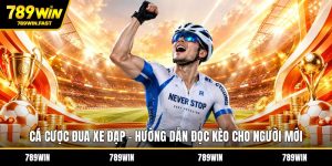Thể Thao 789WIN – Sân Chơi Cá Cược Đỉnh Cao Cho Dân Kèo - fohebi.pro