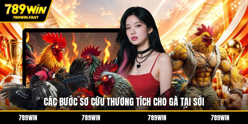 Luật Đá Gà Miền Bắc - Cách Tính Thắng Thua Chi Tiết - fohebi.pro Luật Đá Gà Miền Bắc - Cách Tính Thắng Thua Chi Tiết - fohebi.pro
