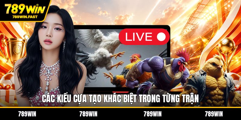 Đá Gà Cựa Sắt - Luật Cược Và Các Dạng Trận Phổ Biến - fohebi.pro