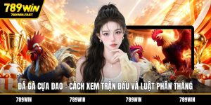 Đá Gà 789WIN – Sân Chơi Cá Cược Hot Cho Dân Đam Mê Gà  - fohebi.pro