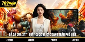 Đá Gà 789WIN – Sân Chơi Cá Cược Hot Cho Dân Đam Mê Gà  - fohebi.pro