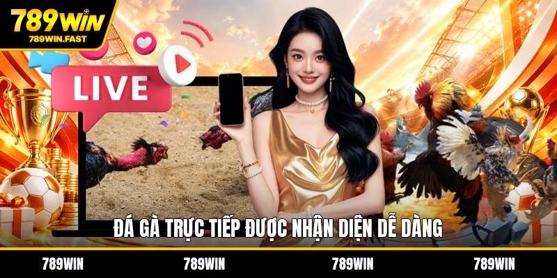 Luật Đá Gà Miền Bắc - Cách Tính Thắng Thua Chi Tiết - fohebi.pro Luật Đá Gà Miền Bắc - Cách Tính Thắng Thua Chi Tiết - fohebi.pro