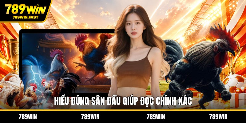 Trường Gà Campuchia - Góc Nhìn Về Sân Đấu Truyền Thống - fohebi.pro Trường Gà Campuchia - Góc Nhìn Về Sân Đấu Truyền Thống - fohebi.pro