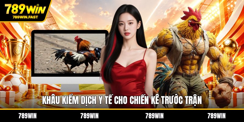 Trường Gà Campuchia - Góc Nhìn Về Sân Đấu Truyền Thống - fohebi.pro Trường Gà Campuchia - Góc Nhìn Về Sân Đấu Truyền Thống - fohebi.pro