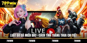 Đá Gà 789WIN – Sân Chơi Cá Cược Hot Cho Dân Đam Mê Gà  - fohebi.pro