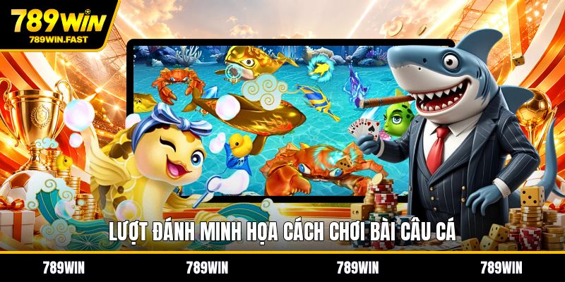 Cách Chơi Bài Câu Cá - Luật Đánh Dễ Hiểu Cho Người Mới - fohebi.pro