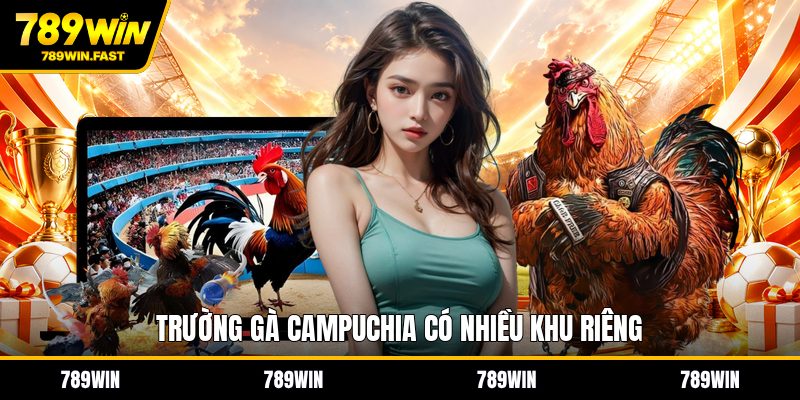 Trường Gà Campuchia - Góc Nhìn Về Sân Đấu Truyền Thống - fohebi.pro Trường Gà Campuchia - Góc Nhìn Về Sân Đấu Truyền Thống - fohebi.pro